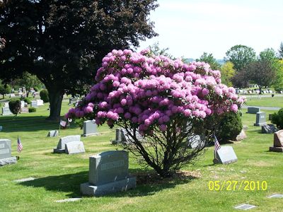 Cemetery Image