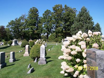 Cemetery Image