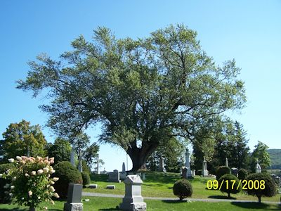 Cemetery Image