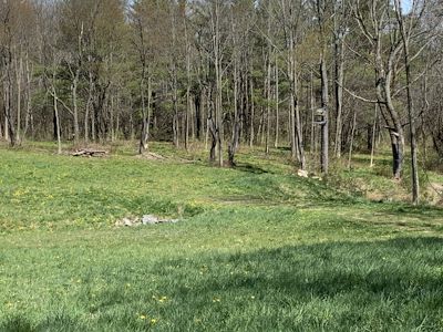 Cemetery Image